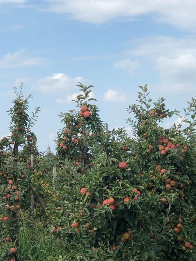 Gastenverblijf Op De Prins Hendrik Hoeve In Buren ภายนอก รูปภาพ